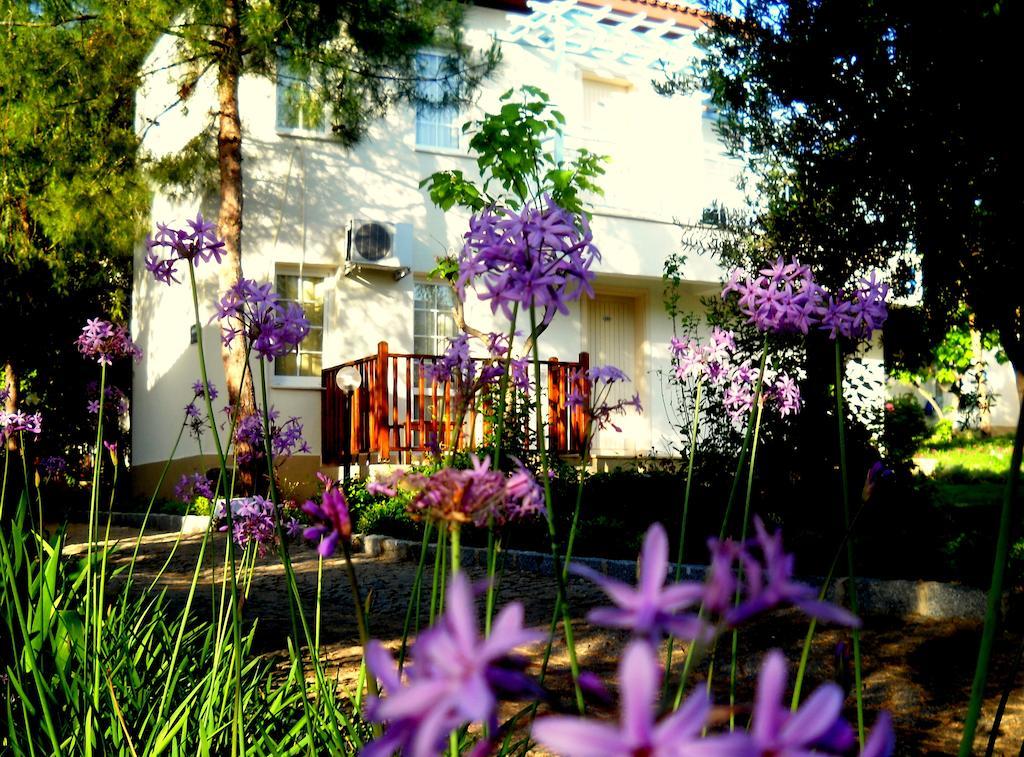 Teos Village Seferihisar Room photo